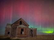 Aurora queen