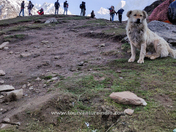 Kedarnath