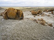 Red Rock Coulee Natural Area, Alberta