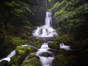 Dickson Falls, NB