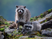 Mom and Me