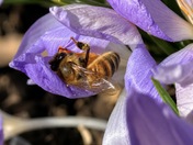 Resting in Spring