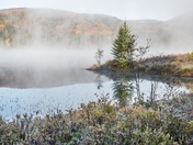 Reflecting pond