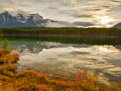 Herbert lake 