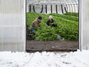 Those who Cultivate and Protect Food Biodiversity 