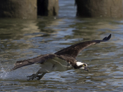 Foot-Washing