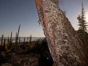 Nathaniel Smith climbing Elephant Breeder, (5.12b / 7b), Rim Rocks. Vernon, British Columbia. 