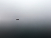 fog