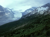 Saskatchewan Glacier 1986