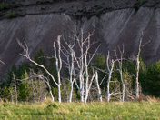 Ghosts of the Park