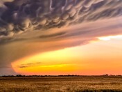 Sunset Mammatus
