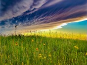Mammatus Clouds