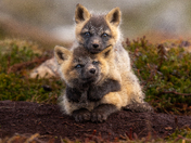 Hugs