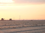 combines in silhouette