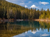 Kananaskis Forest And Mountain Reflections