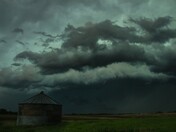 Bin Storm
