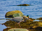 Along The Shore