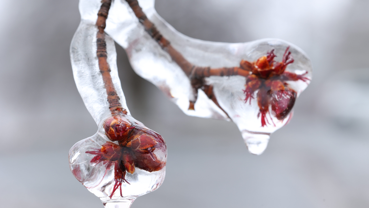 Frozen spring