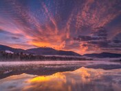 Morning Light