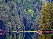 Earth's Quiet Reflection 
