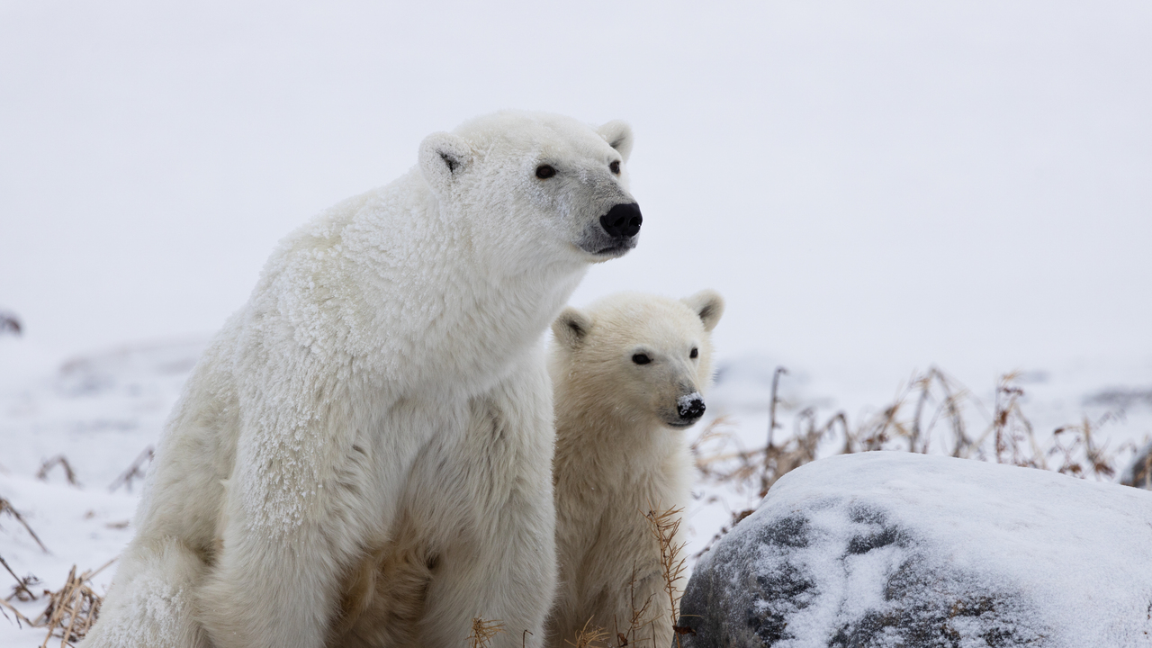Mamma and the Kiddo