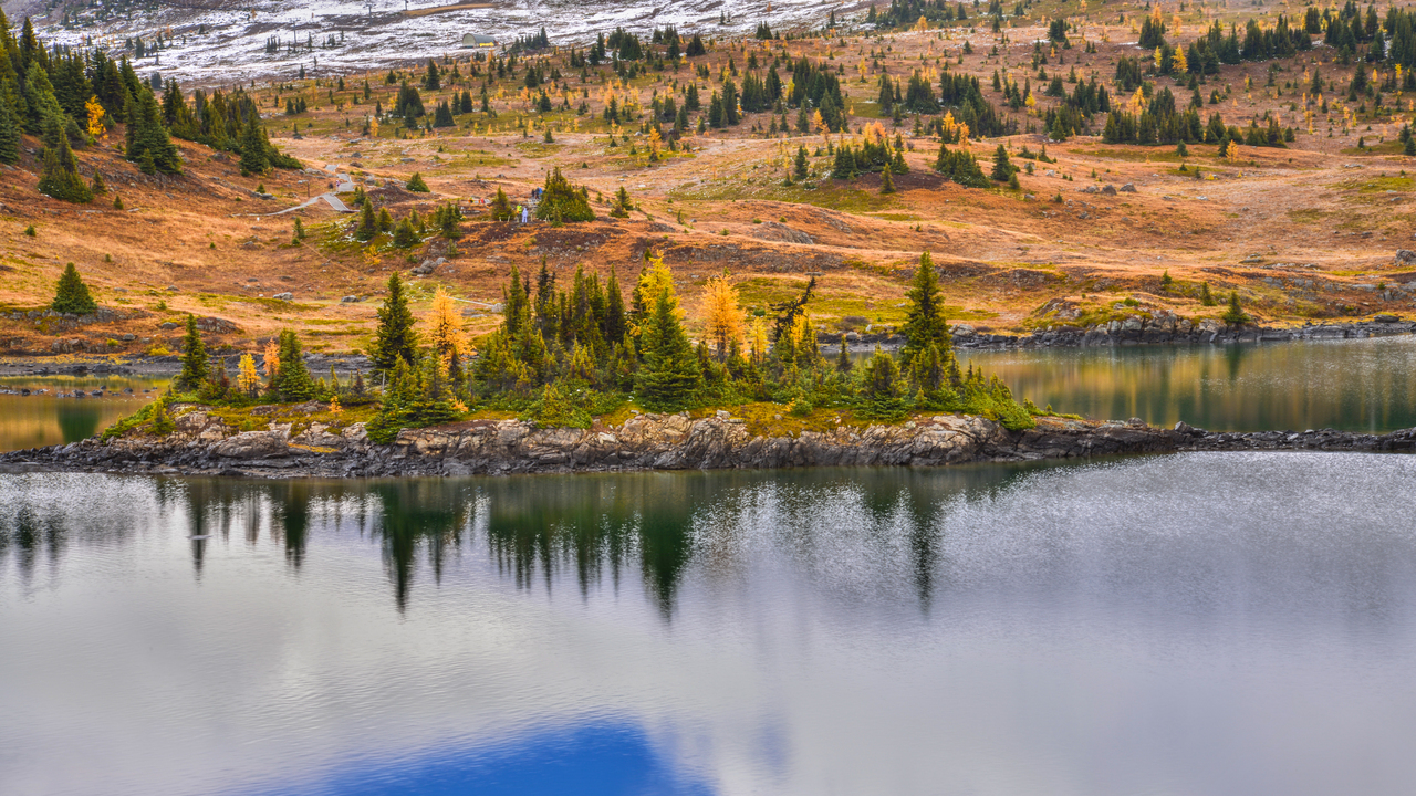 Autumn reflection