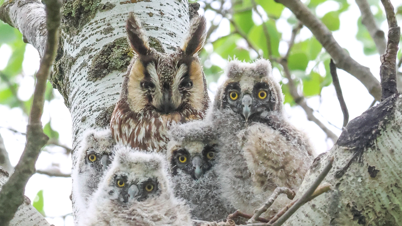 The Last Family Portrait 