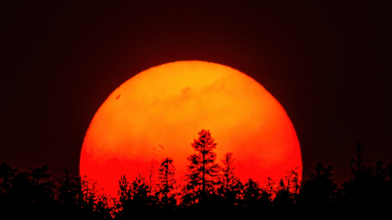 Red Blob