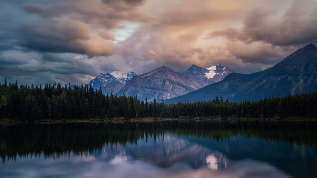 Herbert Lake