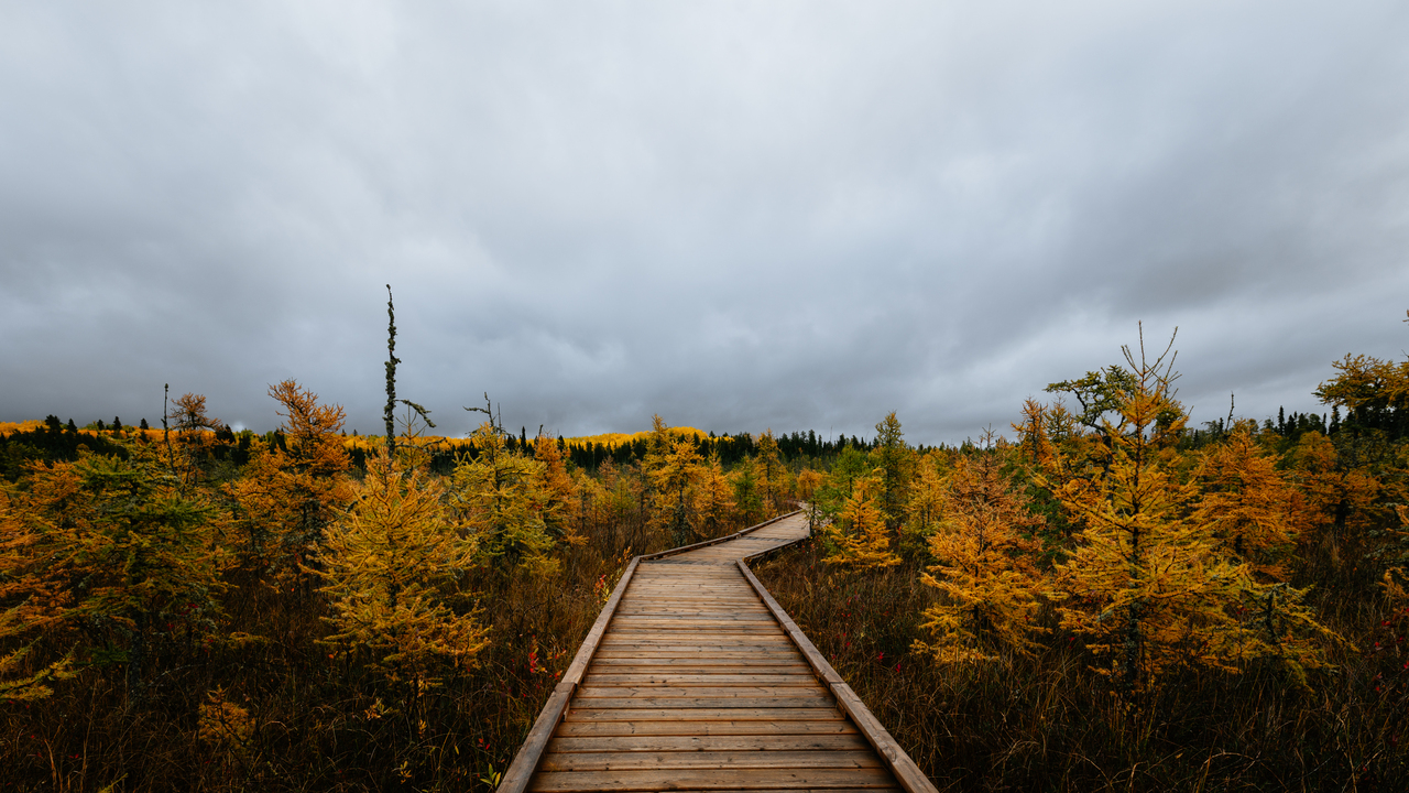 Fall Has Arrived