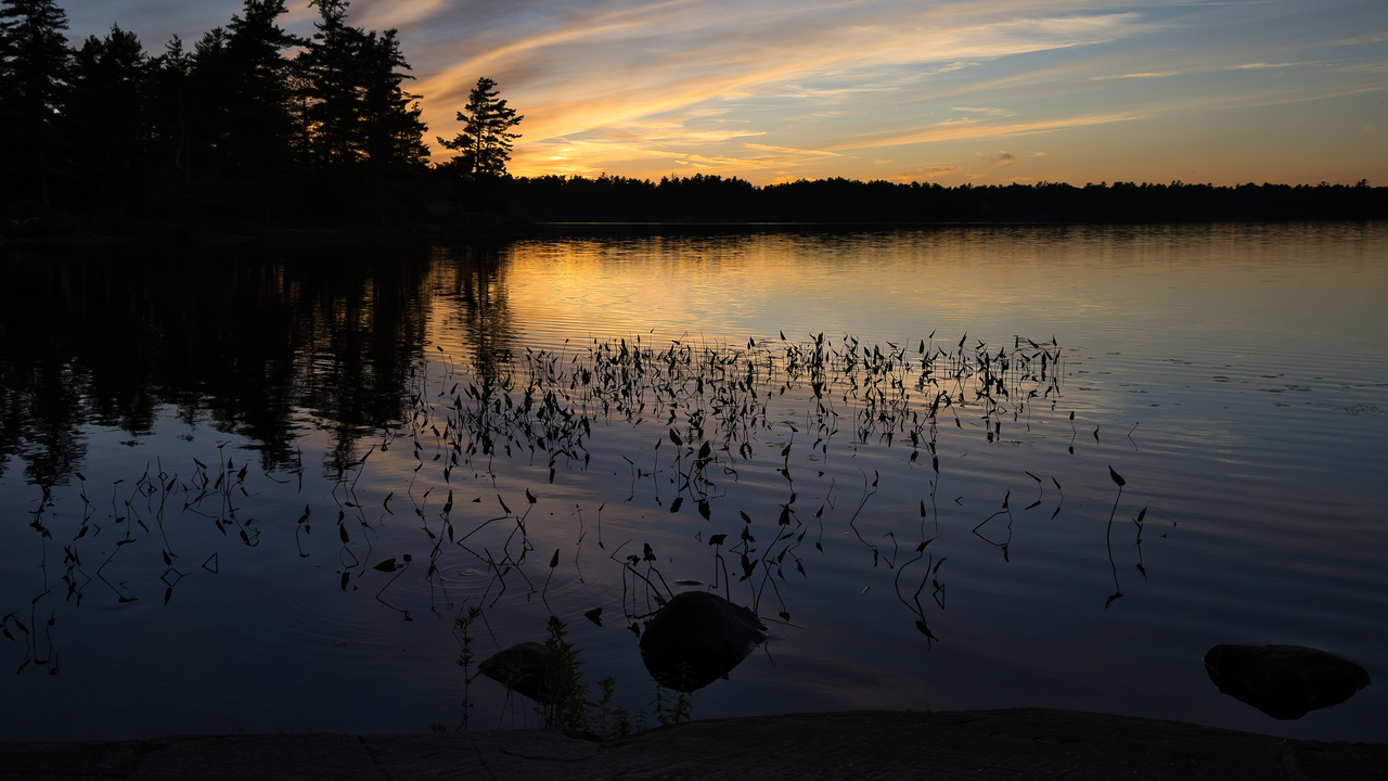 End of the Perfect Day