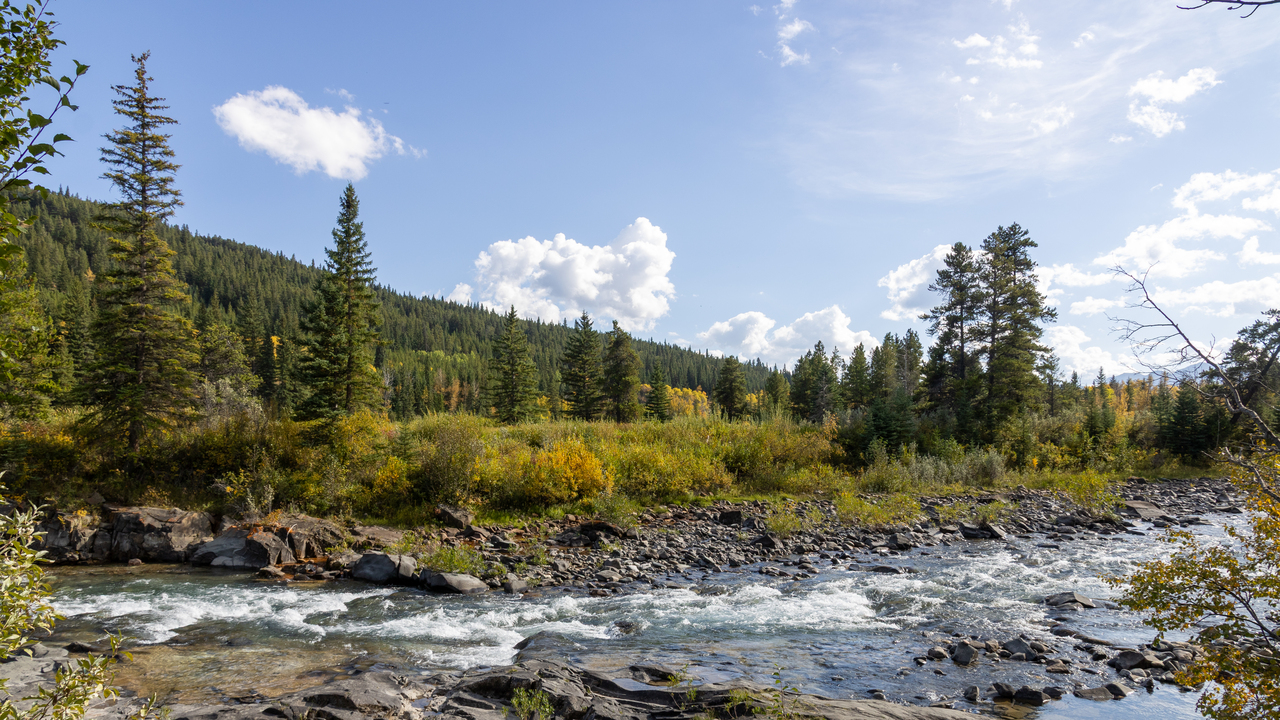 Castle River, Alberta