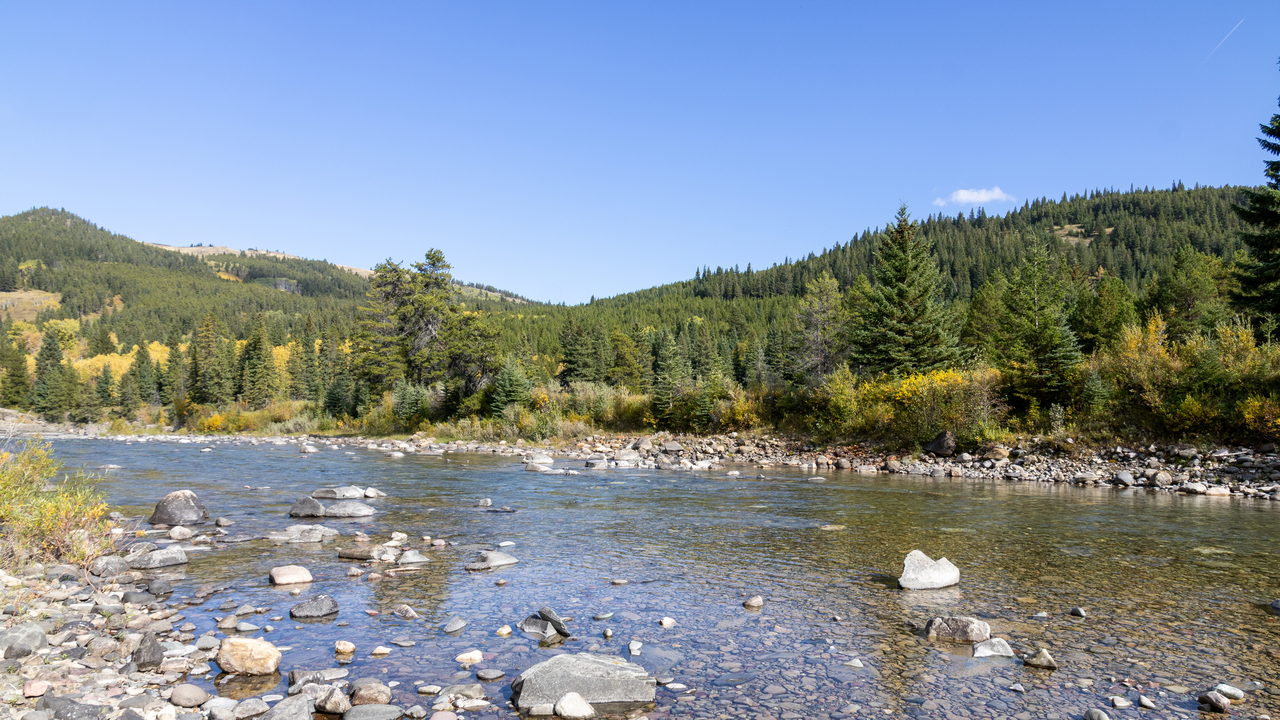 Castle River, Alberta