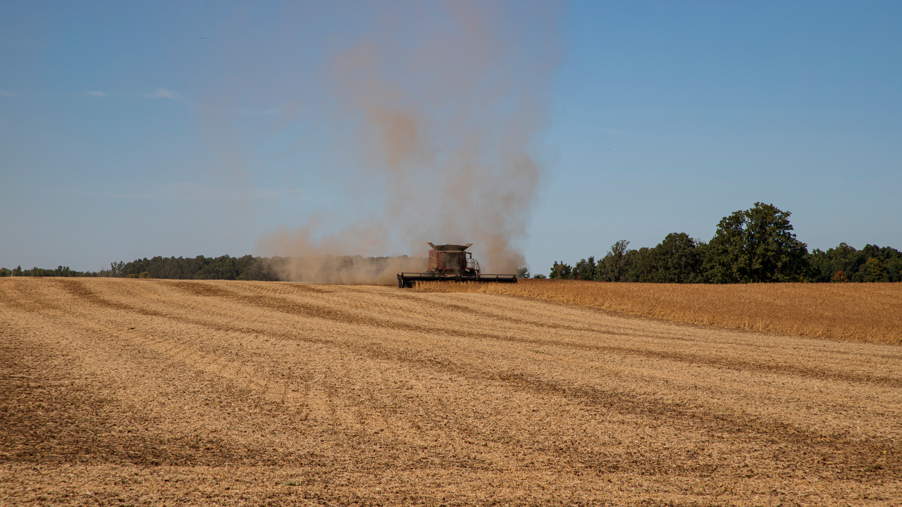 Harvesting Soybean Fields Time