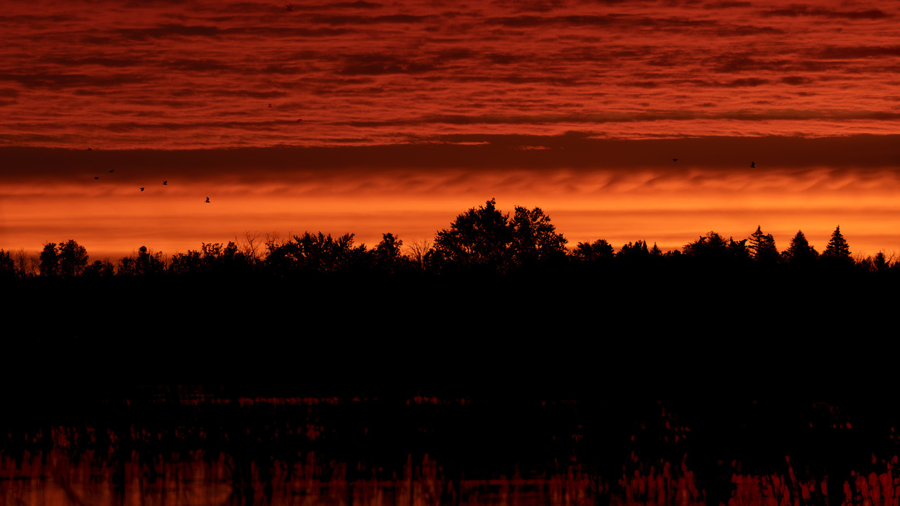 Fire in the Sky