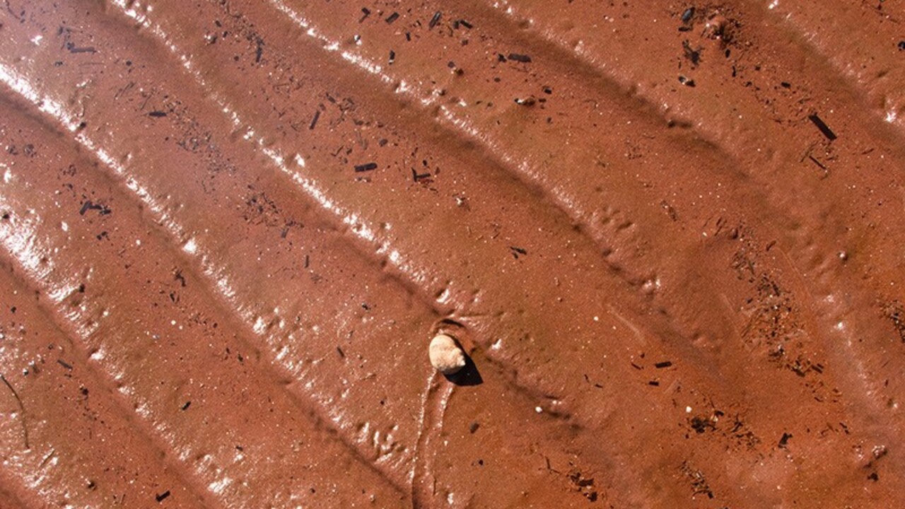Snail Trail