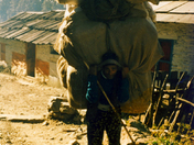 Porteur NÃ‡palais.jpg