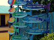 Fishy Signs