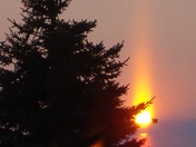 Crow's Firery Sunrise