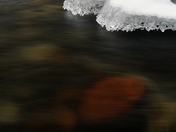 Juniper Creek, BC (533x800).jpg