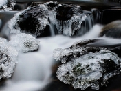 Little Joe Creek, BC (2) (800x320).jpg