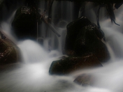 Station Creek Trail, BC (4) (800x533).jpg