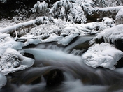 Mud Flat Creek, BC (800x389).jpg