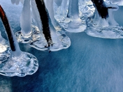 Mud Flat Creek, BC (4) (800x448).jpg