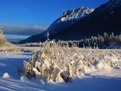 When the Sun Come Up (800x523).jpg