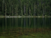 Brown Bear Lake, BC (5) (800x488).jpg