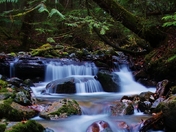 Station Creek, BC (3) (800x746).jpg