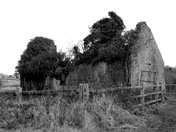 Outbulding with Trees1 B&W.jpg