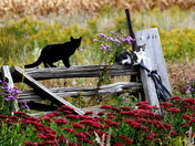 road trip with creiig and open doors 215.JPG