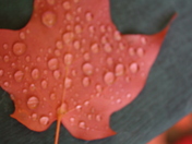 road trip with creiig and open doors 083.JPG